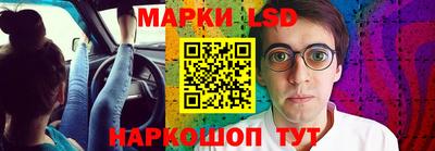 apvp Бийск
