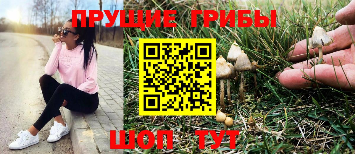 Галлюциногенные грибы Psilocybe  где купить   Вышний Волочёк  Вход с VPN 
